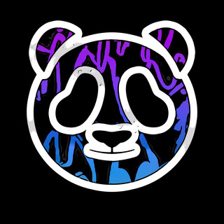Night Panda Photo