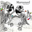 Dance Macaw Albumcover