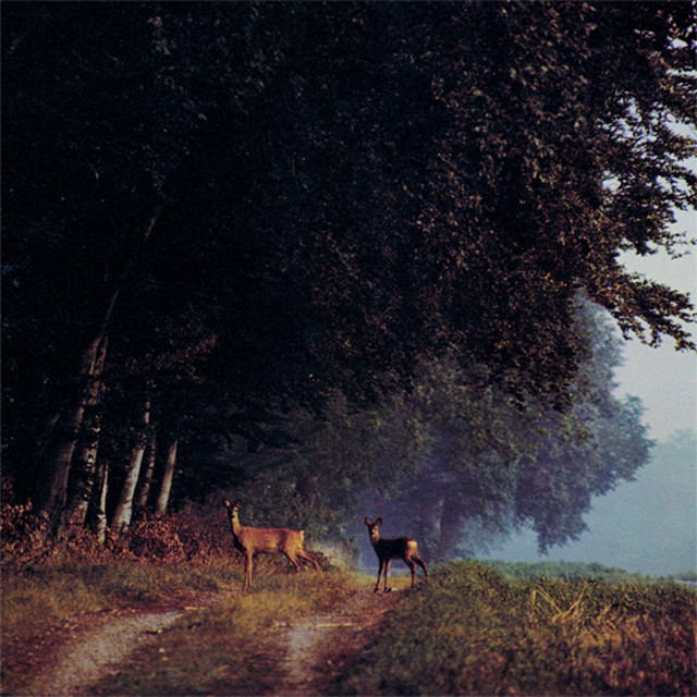 Arv & miljö Photo
