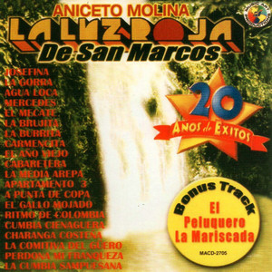 20 Anos de Exitos cover