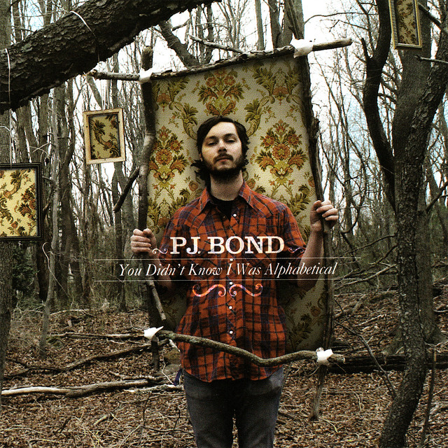 You Didn't Know I Was Alphabetical cover