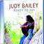 Ready To Fly cover