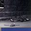 Olemanns Kornett cover
