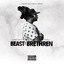 Beast or Brethren cover