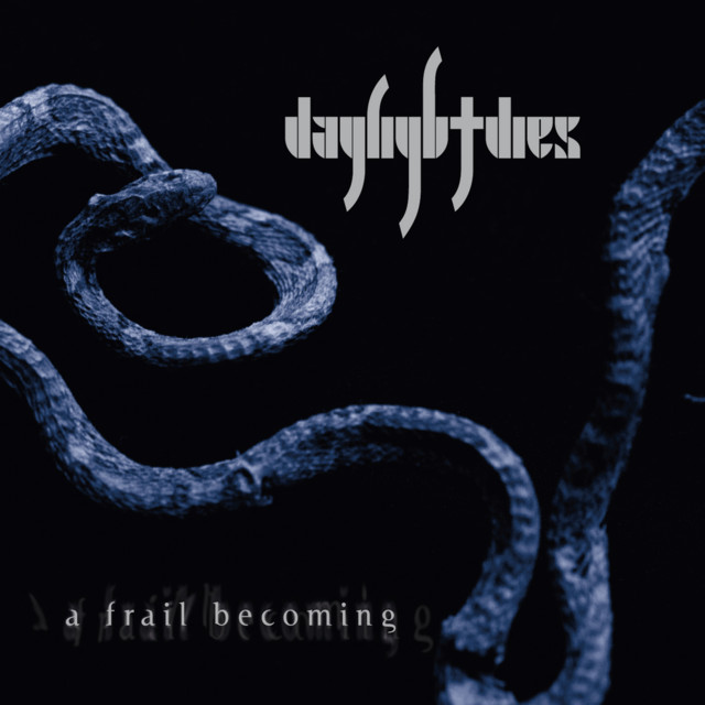 A Frail Becoming cover