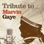 Tribute to Marvin Gaye Albumcover