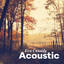 Acoustic cover