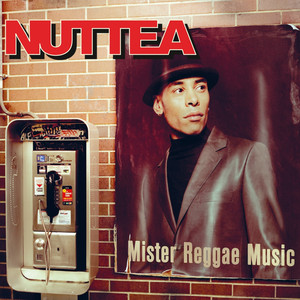 Mister Reggae Music cover
