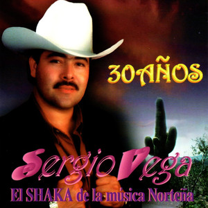 Sergio Vega poster