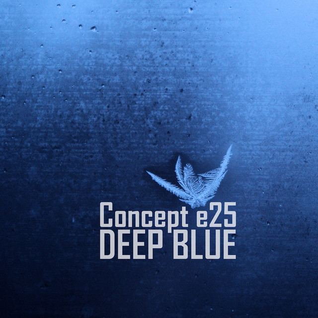 Concept e25 Photo