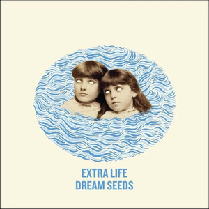 Dream Seeds cover