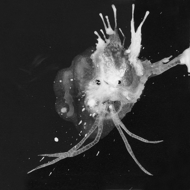 Musik Album: 'Route One' von  Sigur Rós