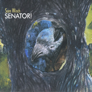 Senator! cover