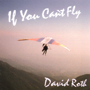 If You Can't Fly cover