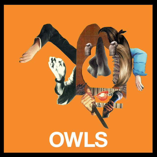 Owls cover