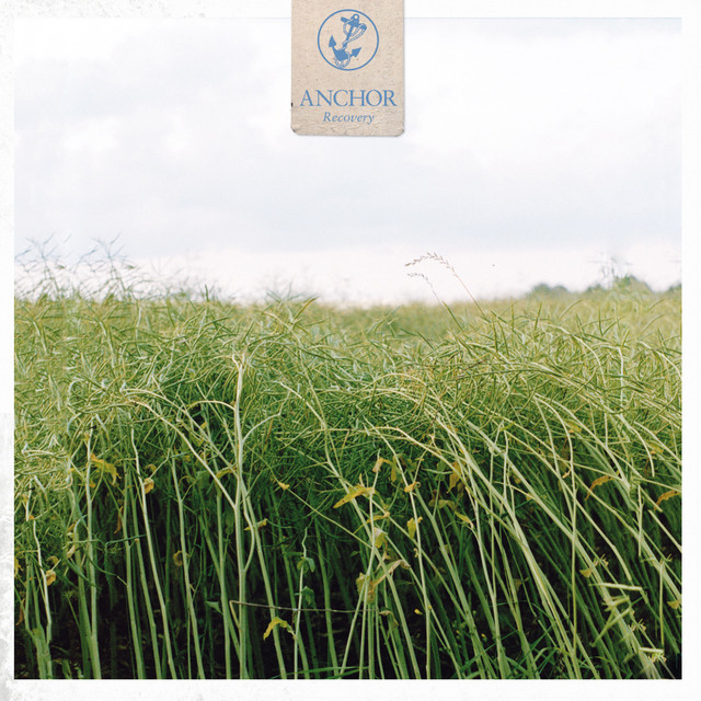 Recovery cover