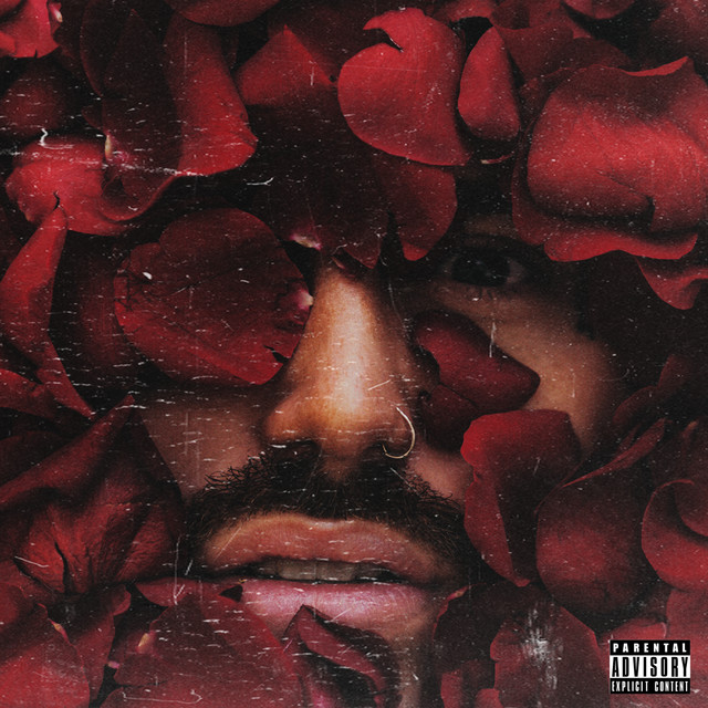 Roses cover