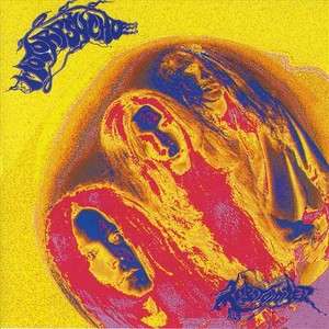 Lobotomizer cover