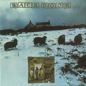 Back Door cover