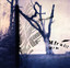 Mirador cover