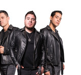 Fuerza de Tijuana profile