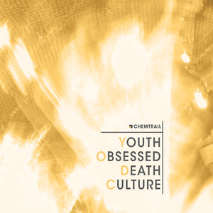 Youth Obsessed Death Culture cover