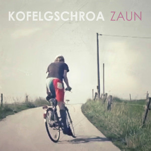 Zaun cover
