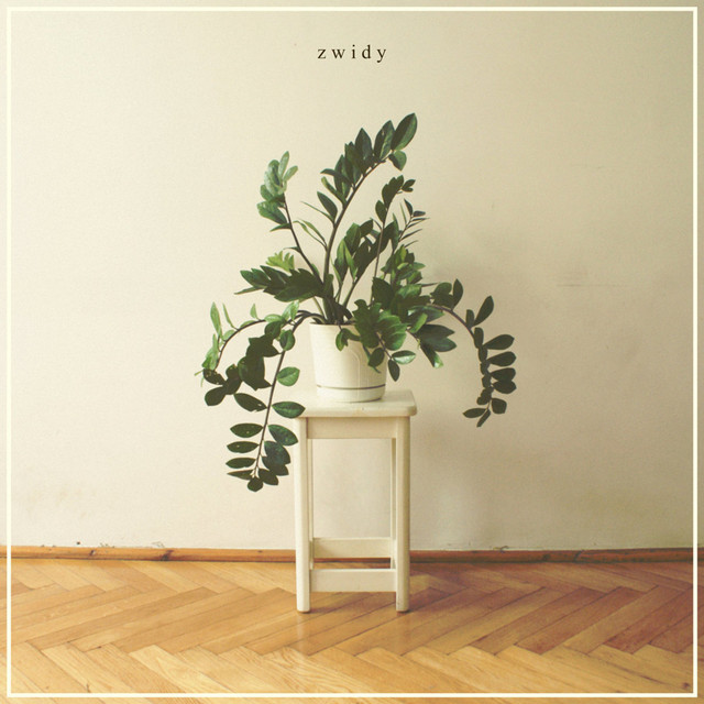 Zwidy cover
