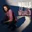 Walls of the World Albumcover