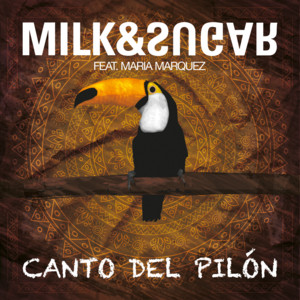 Canto del pilon (Remixes) cover