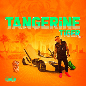 Tangerine Tiger cover