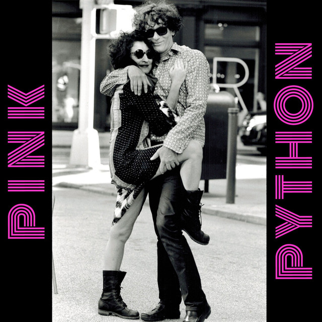 BPM and key for songs by Pink Python | Tempo for Pink Python songs ...