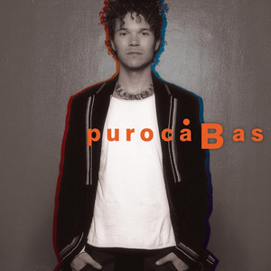 Cabas cover