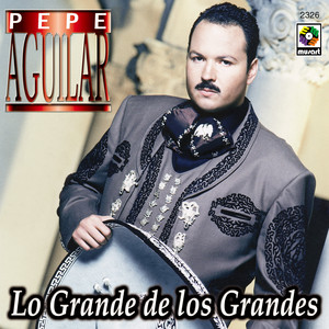 Lo Grande de Los Grandes album