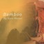 Bamboo Albumcover