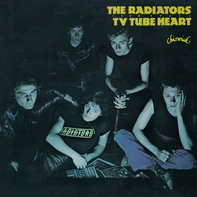 The Radiators From Space Photo