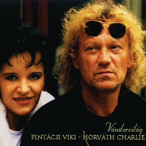 Viki Pint&aacute;csi