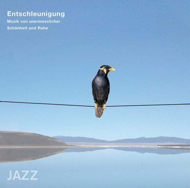 Entschleunigung - Musik Von Unermesslicher Schönheit Und Ruhe (jazz) cover