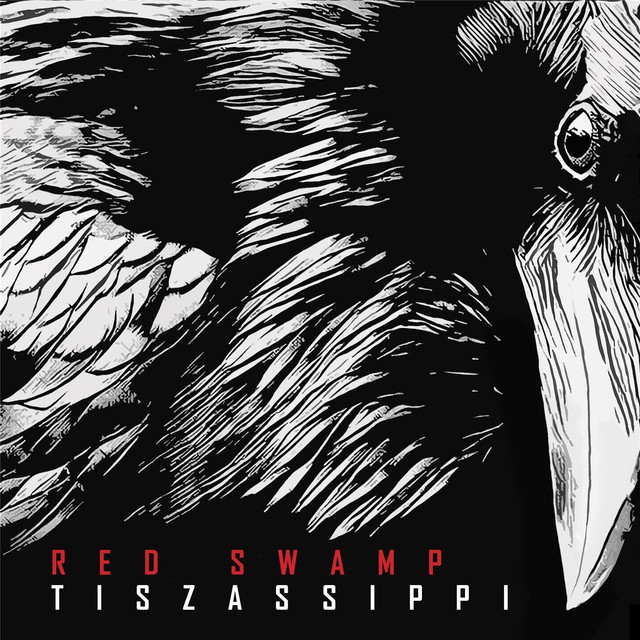 Tiszassippi cover
