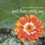Wait There Pretty One Albumcover