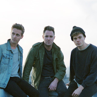 Wild Cub Photo