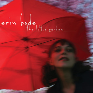 The Little Garden cover