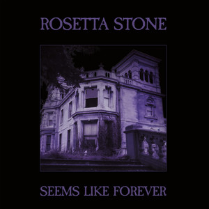 Seems Like Forever cover