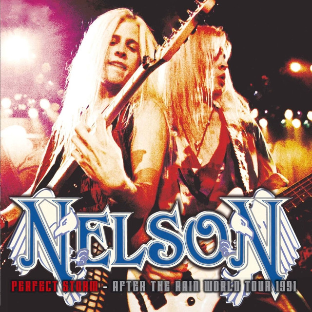 Perfect Storm - After The Rain World Tour 1991 cover