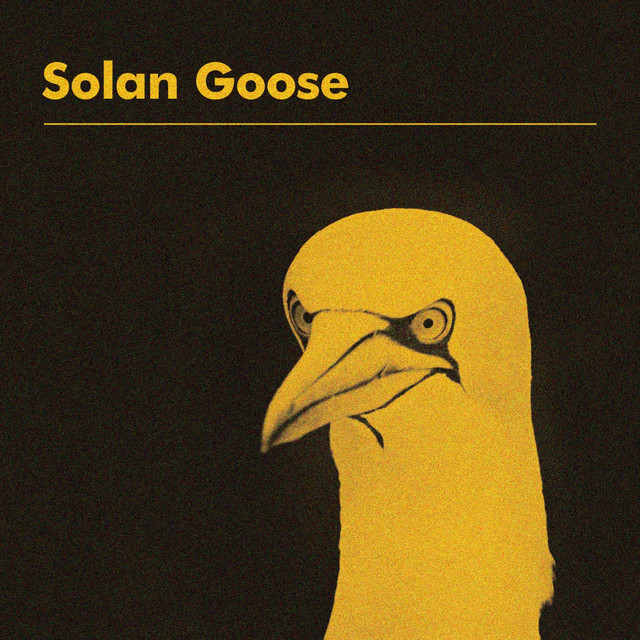 Solan Goose cover