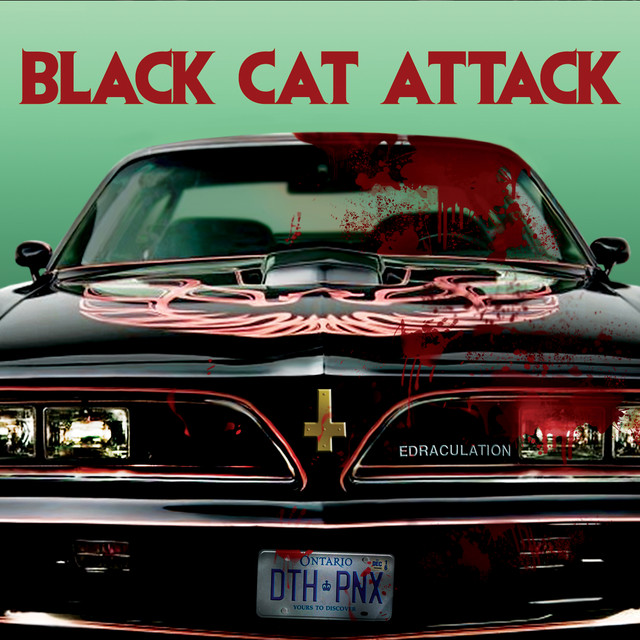 Black Cat Attack Photo