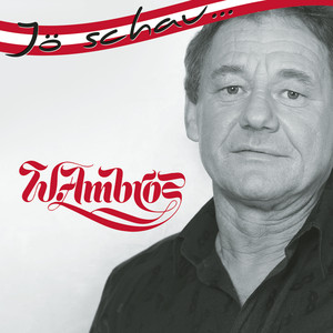 Jö schau... Wolfgang Ambros album