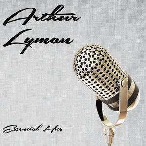 Essential Hits Albumcover