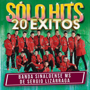 Sólo Hits (20 Éxitos) album