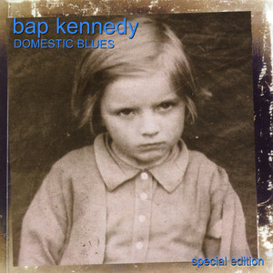 Domestic Blues cover